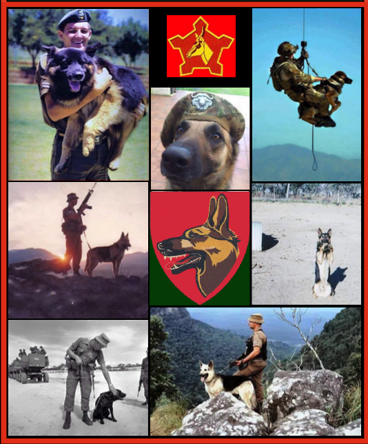 Honde_01